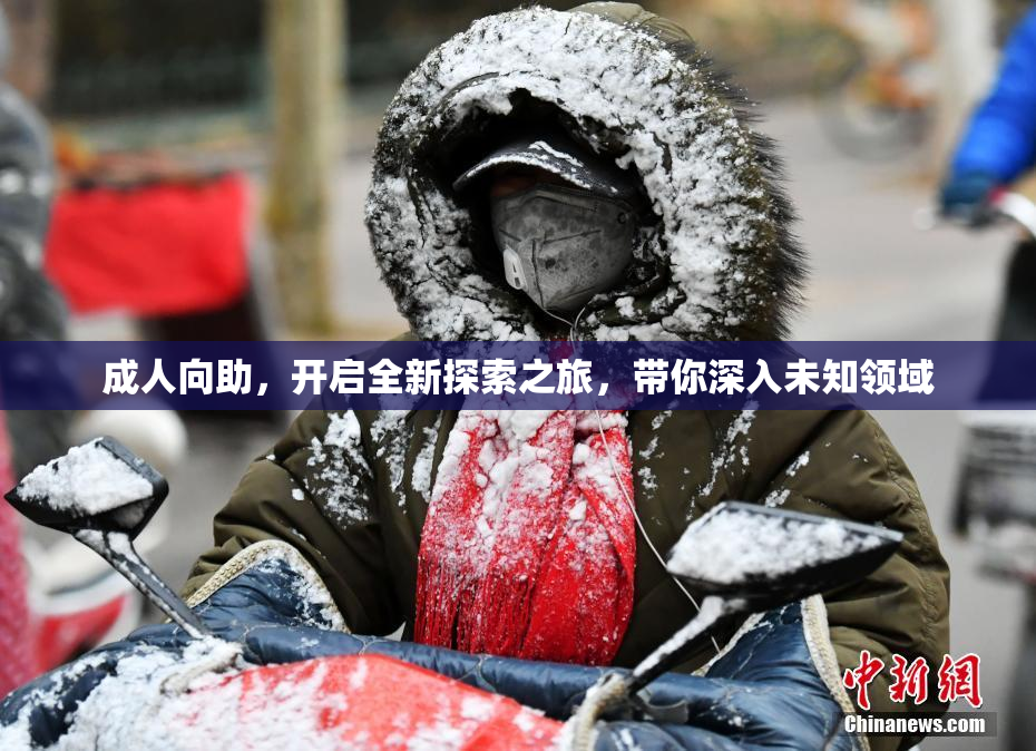 成人向助，开启全新探索之旅，带你深入未知领域