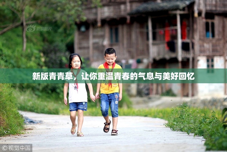 新版青青草，让你重温青春的气息与美好回忆