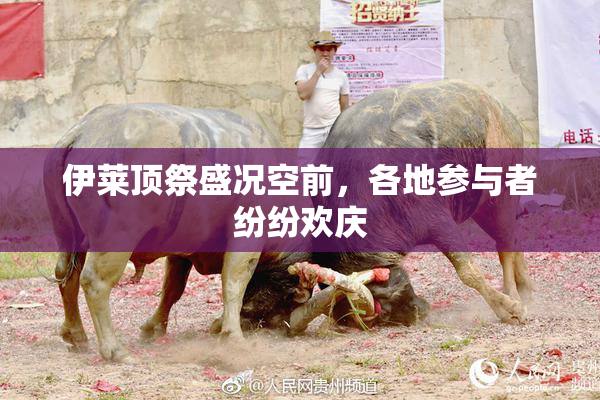伊莱顶祭盛况空前，各地参与者纷纷欢庆