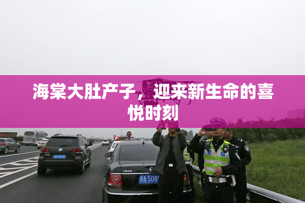 海棠大肚产子，迎来新生命的喜悦时刻