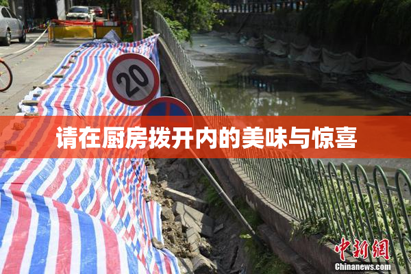 请在厨房拨开内的美味与惊喜