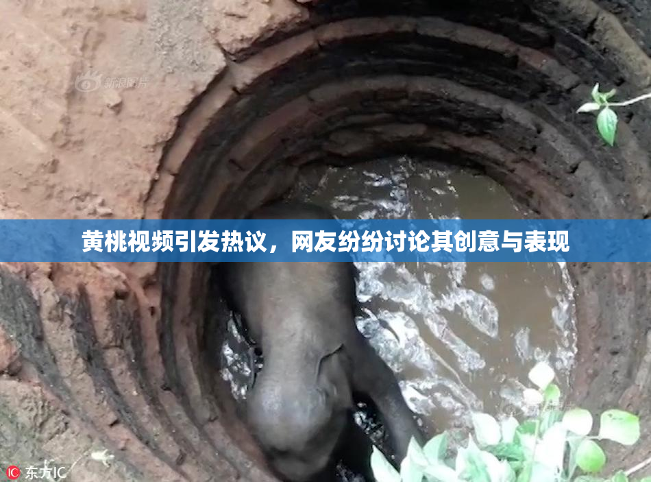 黄桃视频引发热议，网友纷纷讨论其创意与表现