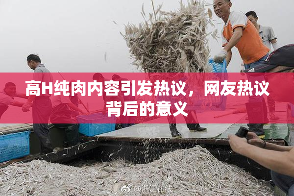 高H纯肉内容引发热议，网友热议背后的意义