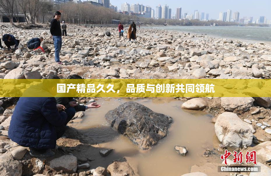 国产精品久久，品质与创新共同领航