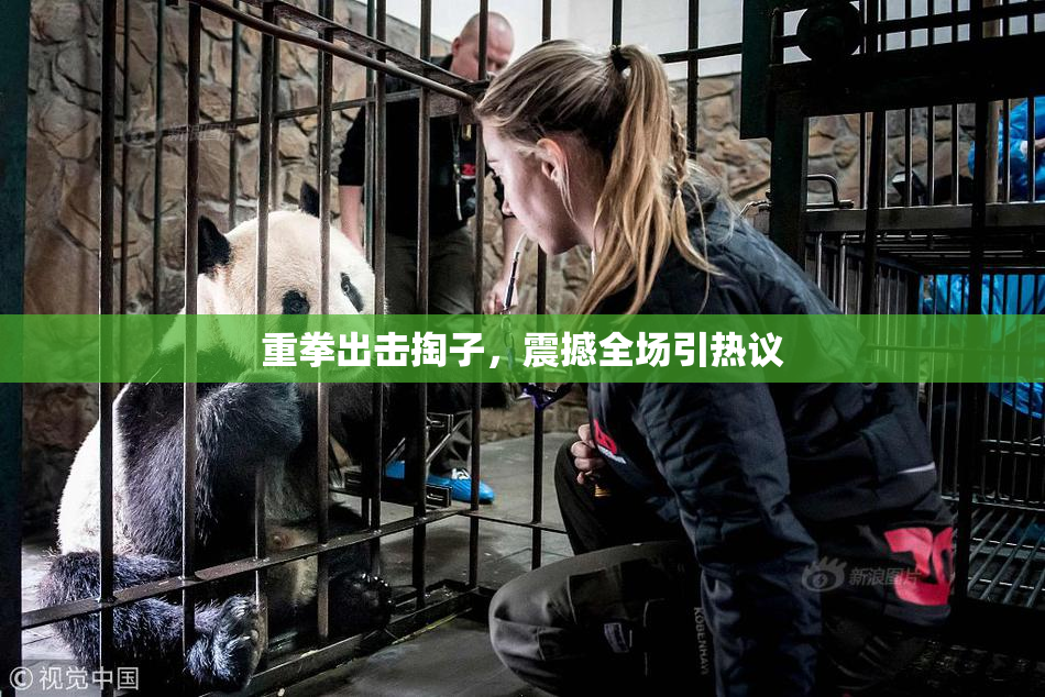 重拳出击掏子，震撼全场引热议