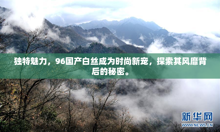 独特魅力，96国产白丝成为时尚新宠，探索其风靡背后的秘密。