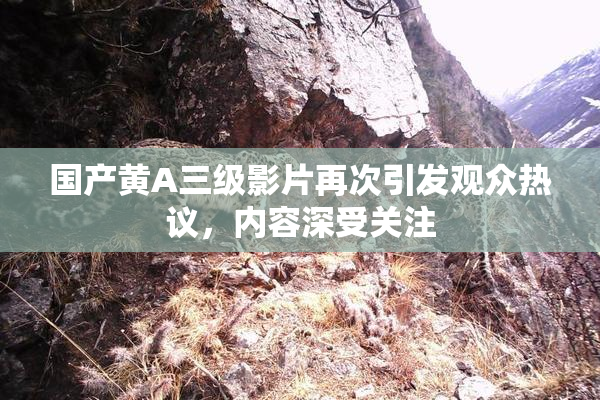 国产黄A三级影片再次引发观众热议，内容深受关注