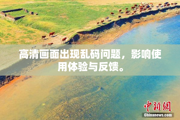 高清画面出现乱码问题，影响使用体验与反馈。