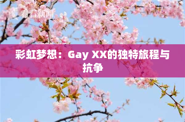 彩虹梦想：Gay XX的独特旅程与抗争