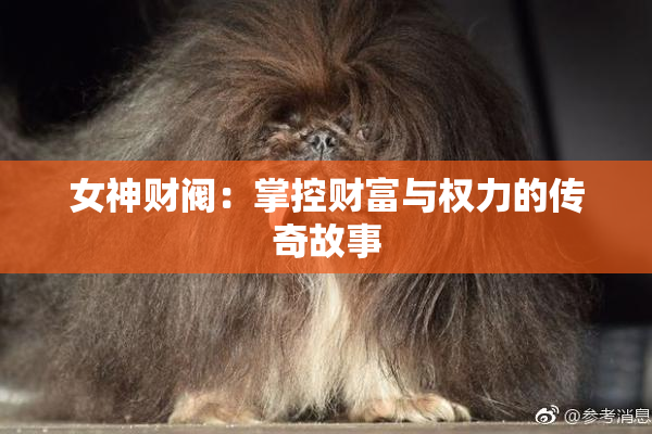 女神财阀：掌控财富与权力的传奇故事
