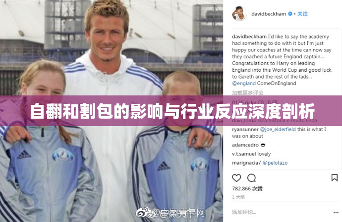 自翻和割包的影响与行业反应深度剖析