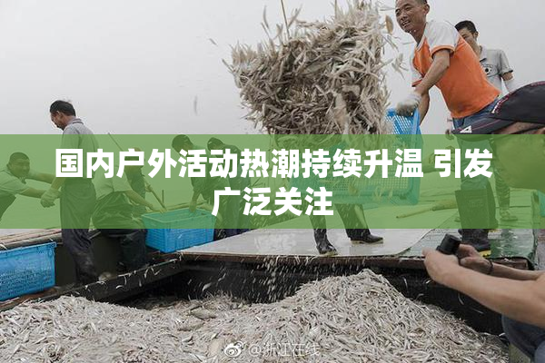 国内户外活动热潮持续升温 引发广泛关注