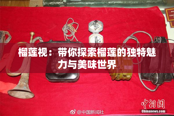 榴莲视：带你探索榴莲的独特魅力与美味世界