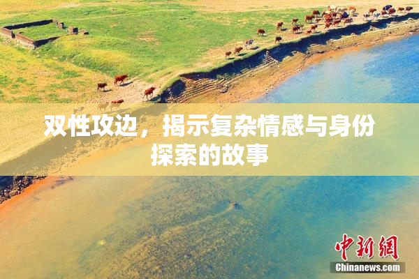 双性攻边，揭示复杂情感与身份探索的故事