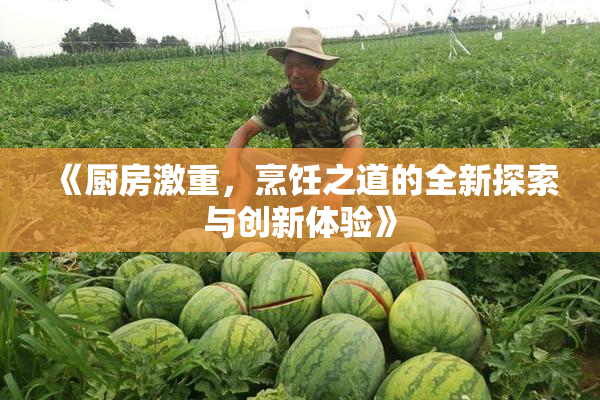 《厨房激重，烹饪之道的全新探索与创新体验》