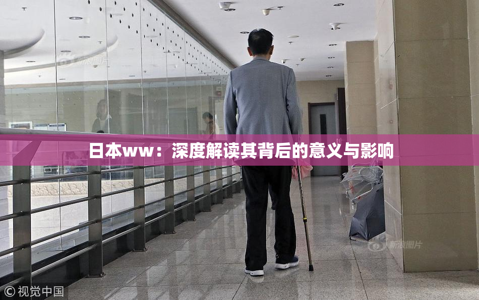 日本ww：深度解读其背后的意义与影响