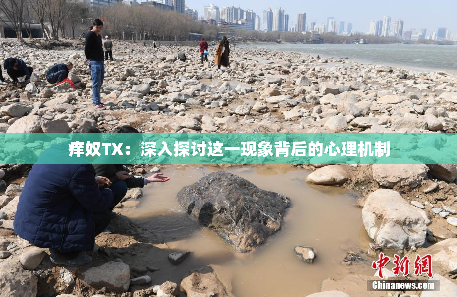 痒奴TX：深入探讨这一现象背后的心理机制