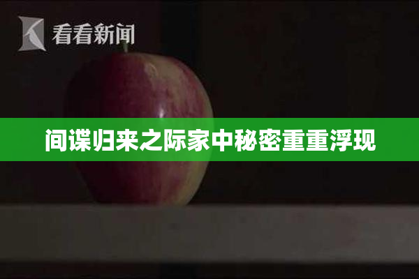 间谍归来之际家中秘密重重浮现