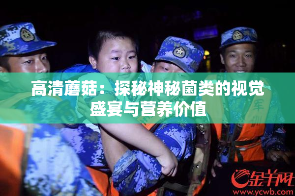 高清蘑菇：探秘神秘菌类的视觉盛宴与营养价值