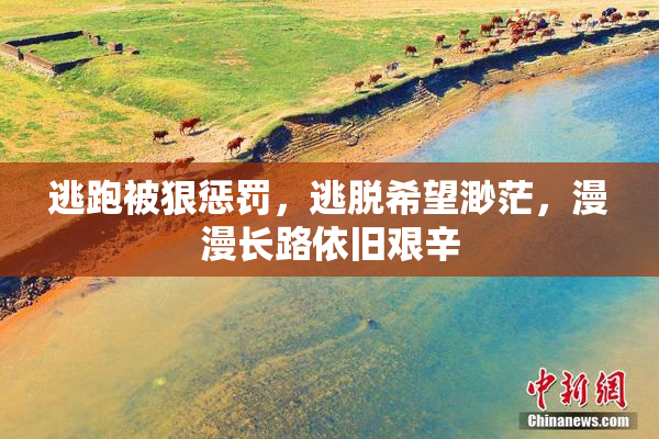 逃跑被狠惩罚，逃脱希望渺茫，漫漫长路依旧艰辛