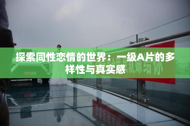 探索同性恋情的世界：一级A片的多样性与真实感