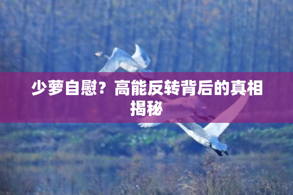 少萝自慰？高能反转背后的真相揭秘