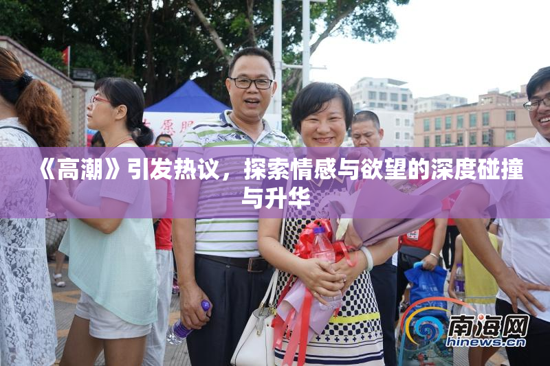 《高潮》引发热议，探索情感与欲望的深度碰撞与升华