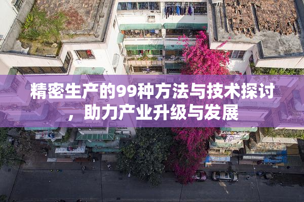 精密生产的99种方法与技术探讨，助力产业升级与发展