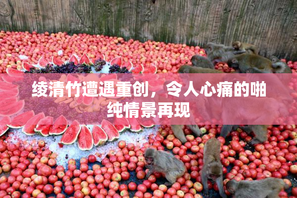 绫清竹遭遇重创，令人心痛的啪纯情景再现