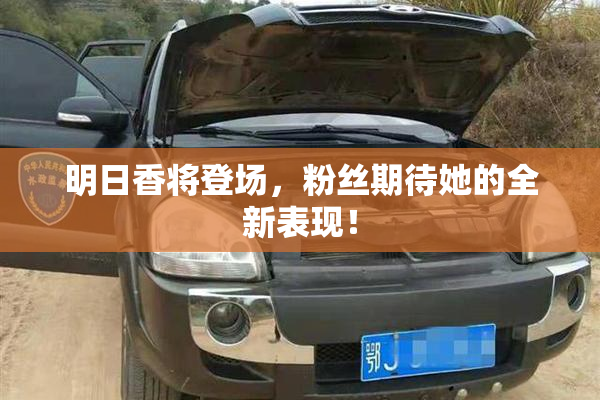 明日香将登场，粉丝期待她的全新表现！