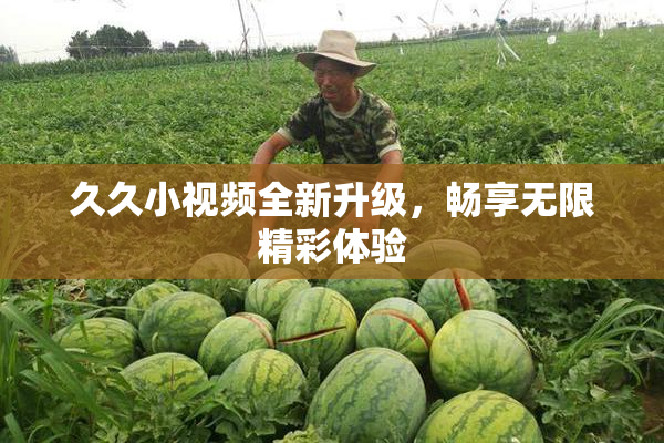 久久小视频全新升级，畅享无限精彩体验
