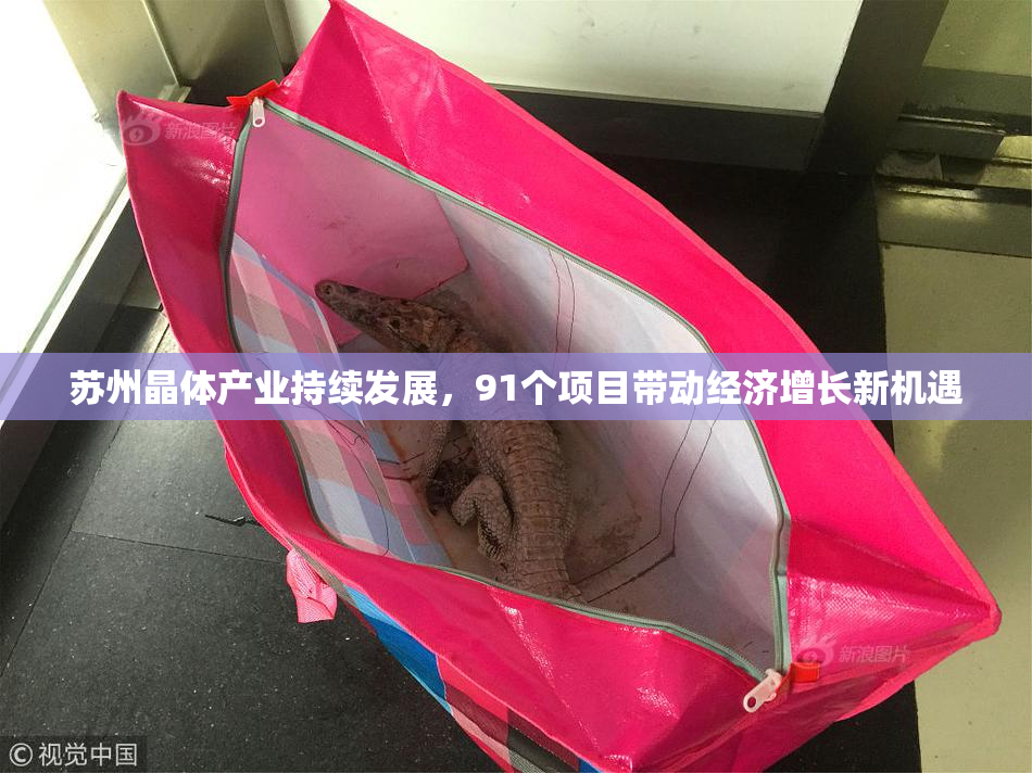 苏州晶体产业持续发展，91个项目带动经济增长新机遇
