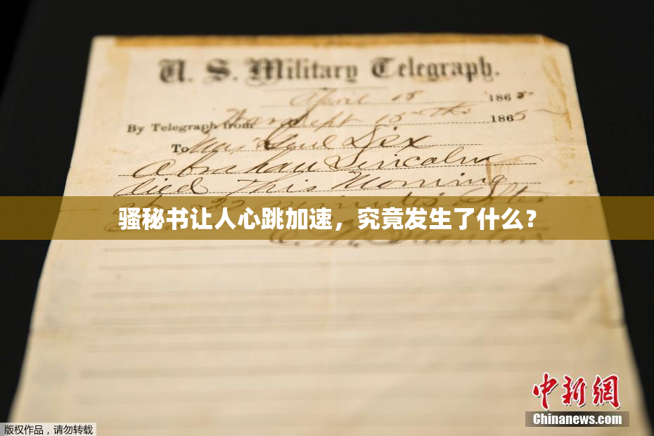 骚秘书让人心跳加速，究竟发生了什么？