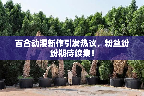 百合动漫新作引发热议，粉丝纷纷期待续集！