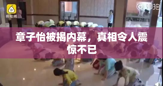 章子怡被揭内幕，真相令人震惊不已