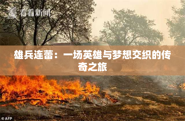 雄兵连蕾：一场英雄与梦想交织的传奇之旅