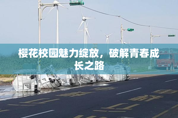 樱花校园魅力绽放，破解青春成长之路