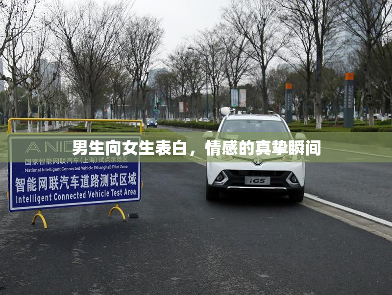 男生向女生表白，情感的真挚瞬间