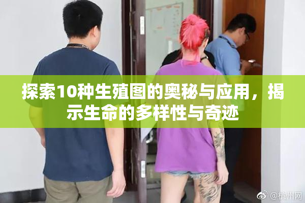 探索10种生殖图的奥秘与应用，揭示生命的多样性与奇迹