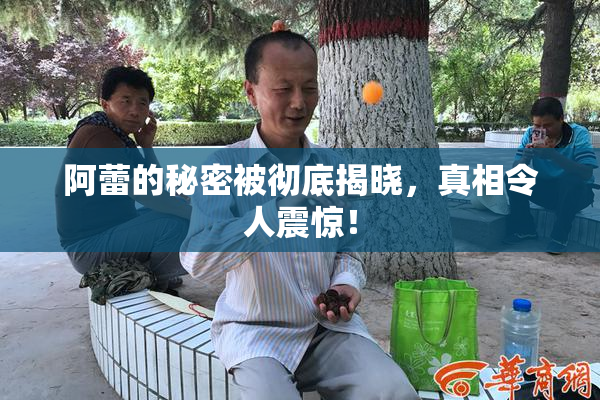 阿蕾的秘密被彻底揭晓，真相令人震惊！