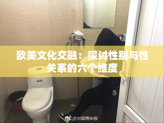 欧美文化交融：探讨性别与性关系的六个维度
