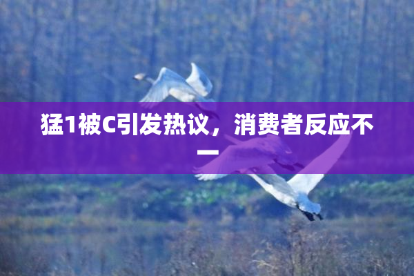猛1被C引发热议，消费者反应不一