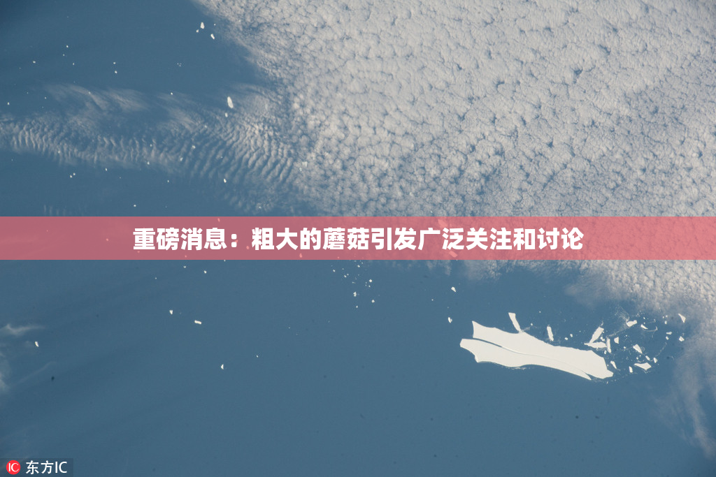 重磅消息：粗大的蘑菇引发广泛关注和讨论