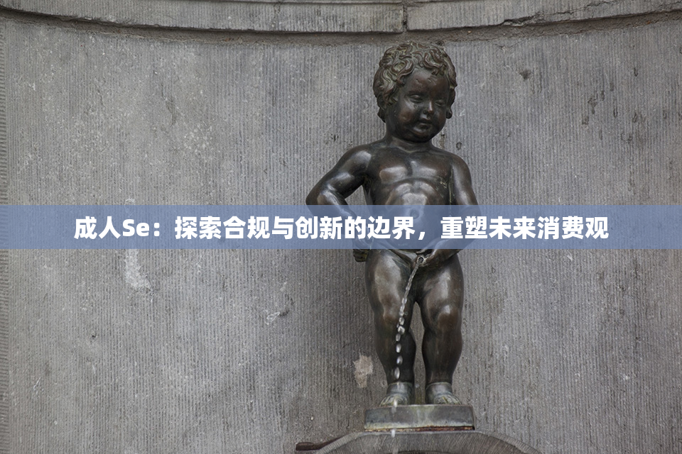 成人Se：探索合规与创新的边界，重塑未来消费观