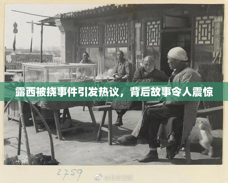 露西被挠事件引发热议，背后故事令人震惊