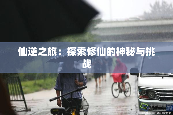 仙逆之旅：探索修仙的神秘与挑战