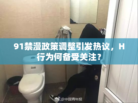 91禁漫政策调整引发热议，H行为何备受关注？