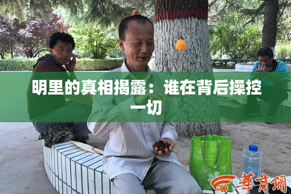 明里的真相揭露：谁在背后操控一切