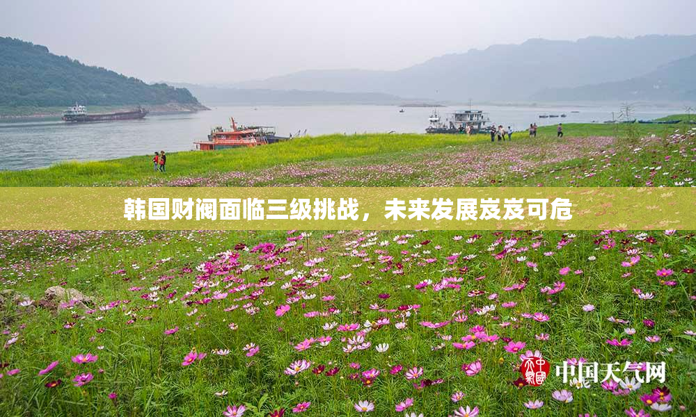 韩国财阀面临三级挑战，未来发展岌岌可危