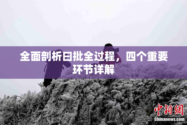 全面剖析曰批全过程，四个重要环节详解